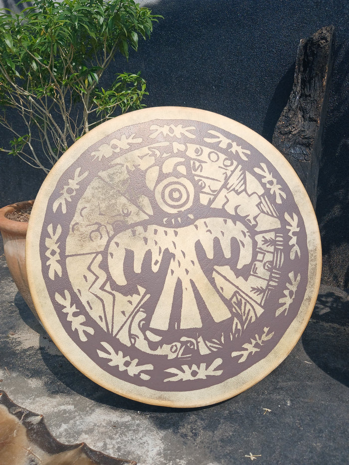 BIRD SHAMANIC DRUM ART