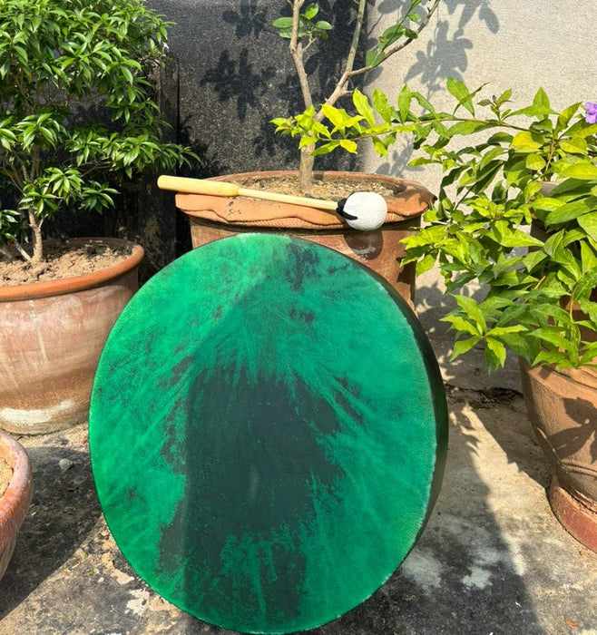 Green drum in front of potted plants