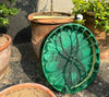 Green glass plate with floral pattern on a stone surface surrounded by potted plants
