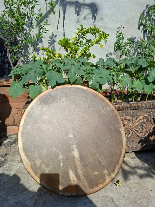 Camel Skin Shamanic Drum – Tree of Life Handmade Medicine Drum