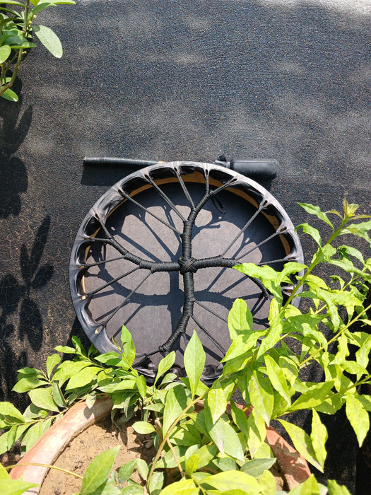 horse shamanic drum