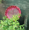 female shamanic drum