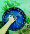 purple shamanic medicine drum