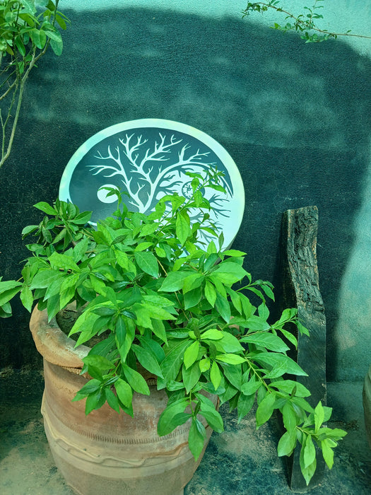 ying yang shamanic drum